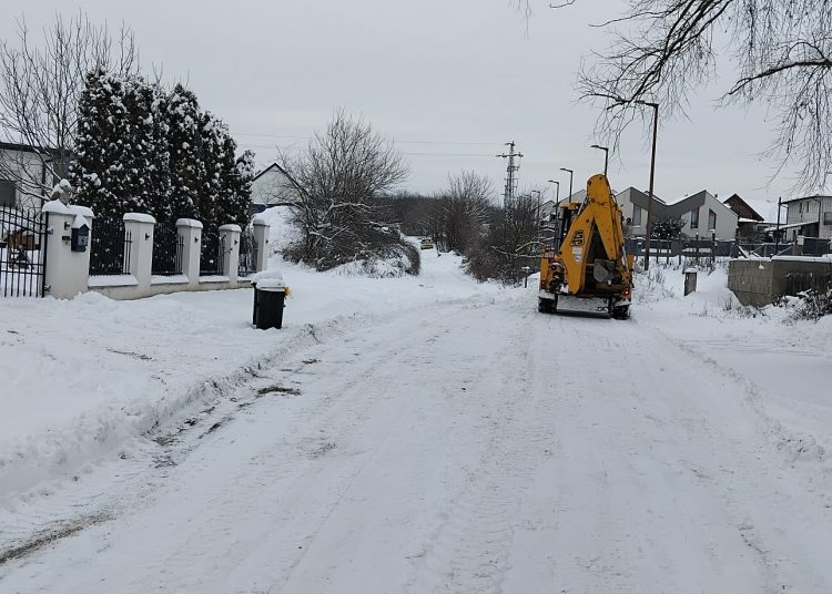 A Váci Városfejlesztő beszámolója (fotókkal)