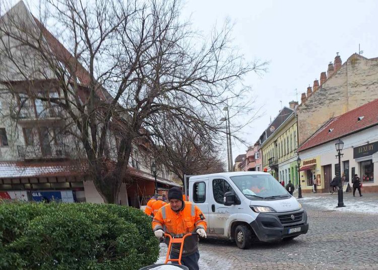 A Váci Városfejlesztő beszámolója (fotókkal)