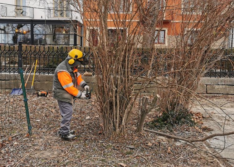 A Váci Városfejlesztő beszámolója (fotókkal)