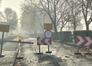 Időszakos útlezárás lesz az Ady Endre sétányon