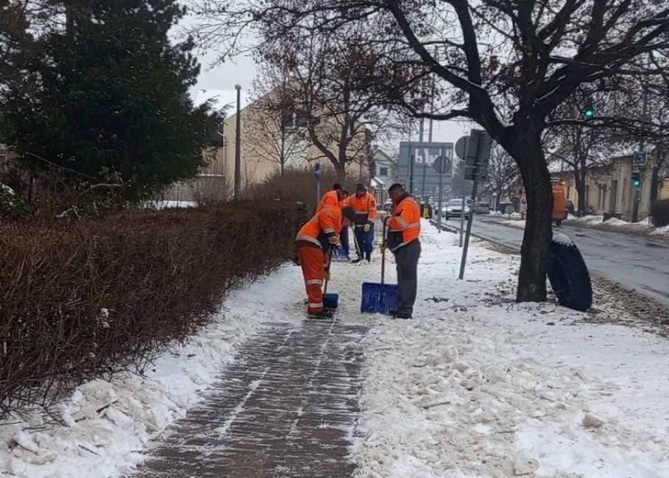 A Váci Városfejlesztő Kft. heti beszámolója