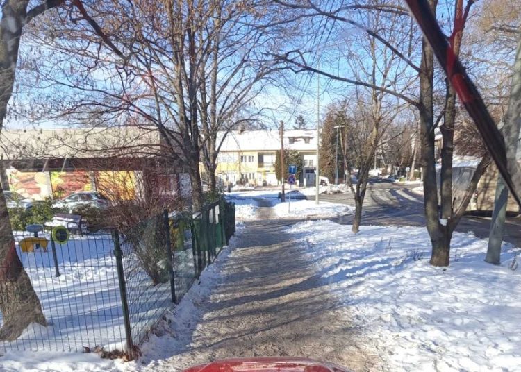 A Váci Városfejlesztő Kft. heti beszámolója