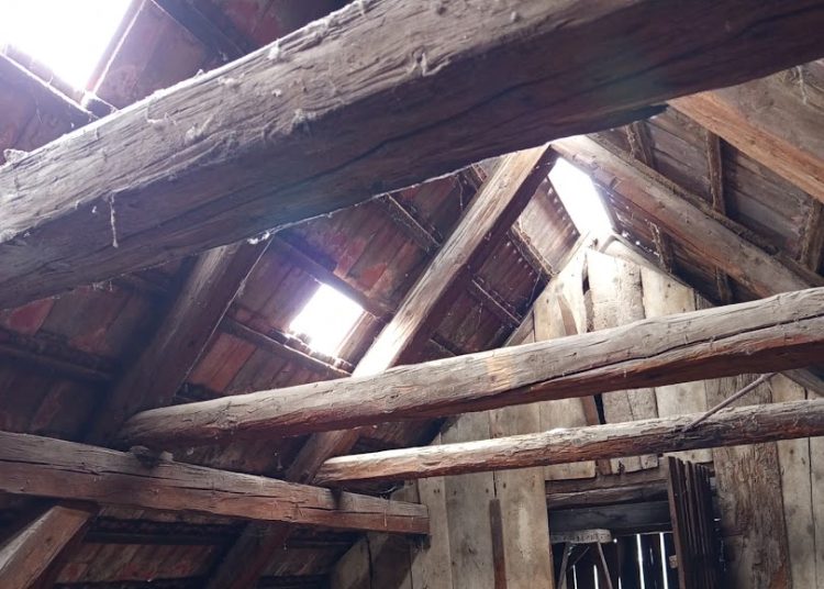 A Váci Városfejlesztő Kft. heti beszámolója