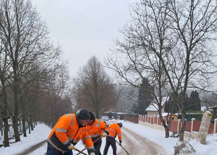 A Váci Városfejlesztő Kft. heti beszámolója