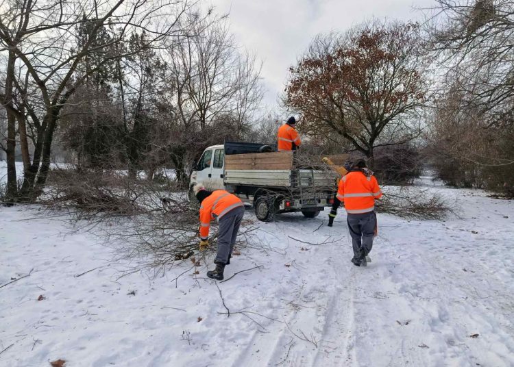 A Váci Városfejlesztő Kft. heti beszámolója