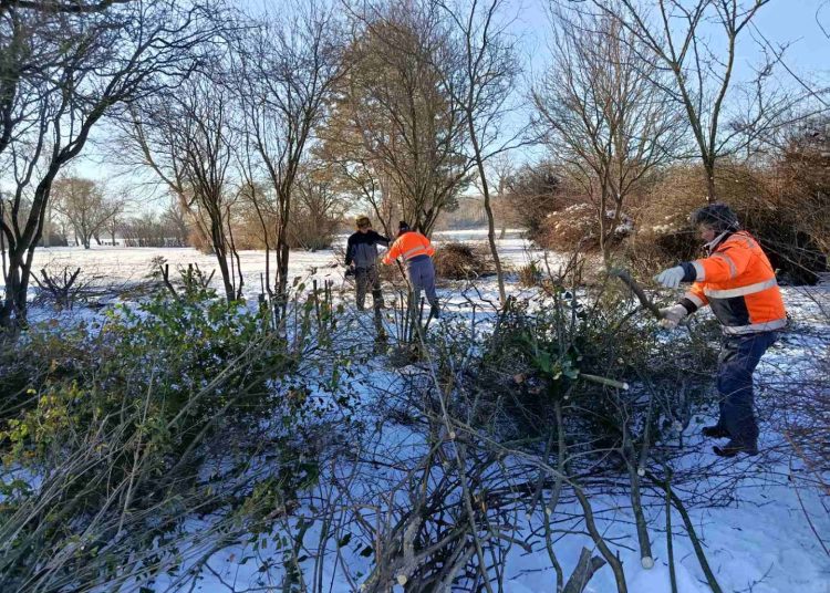 A Váci Városfejlesztő Kft. heti beszámolója