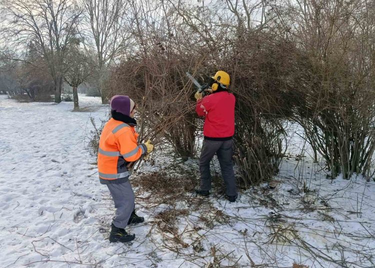 A Váci Városfejlesztő Kft. heti beszámolója