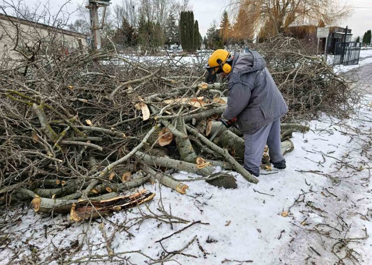 A Váci Városfejlesztő Kft. heti beszámolója