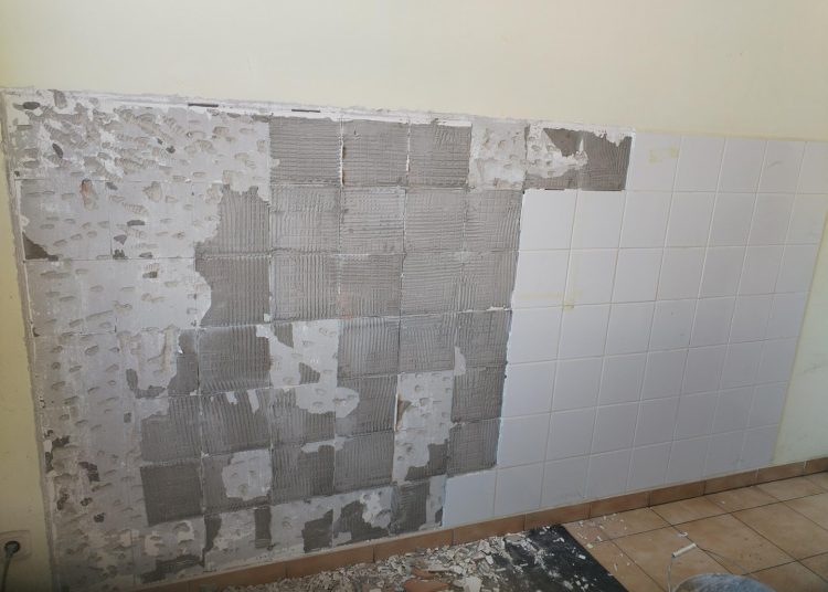 A Váci Városfejlesztő Kft. heti beszámolója