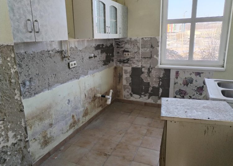 A Váci Városfejlesztő Kft. heti beszámolója