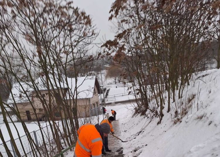 A Váci Városfejlesztő Kft. heti beszámolója