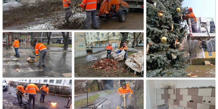 A Váci Városfejlesztő Kft. heti beszámolója