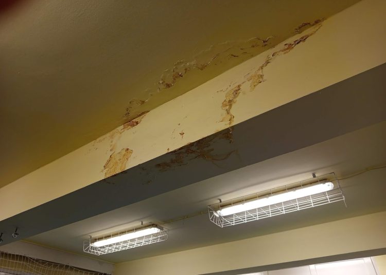 A Váci Városfejlesztő Kft. heti beszámolója