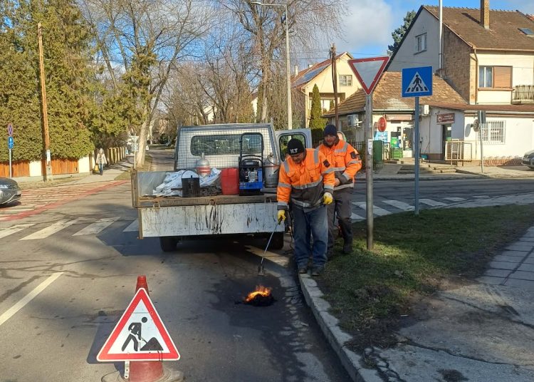 A Váci Városfejlesztő Kft. heti beszámolója