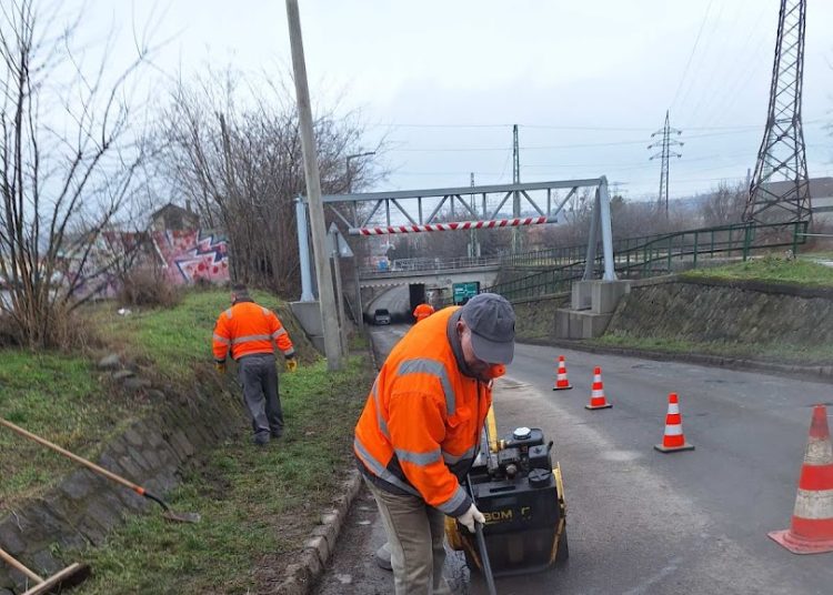 A Váci Városfejlesztő Kft. heti beszámolója