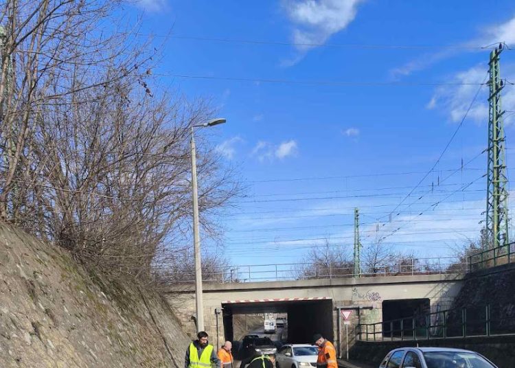 A Váci Városfejlesztő Kft. heti beszámolója