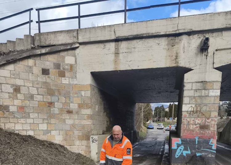 A Váci Városfejlesztő Kft. heti beszámolója