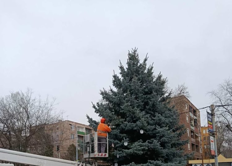 A Váci Városfejlesztő Kft. heti beszámolója