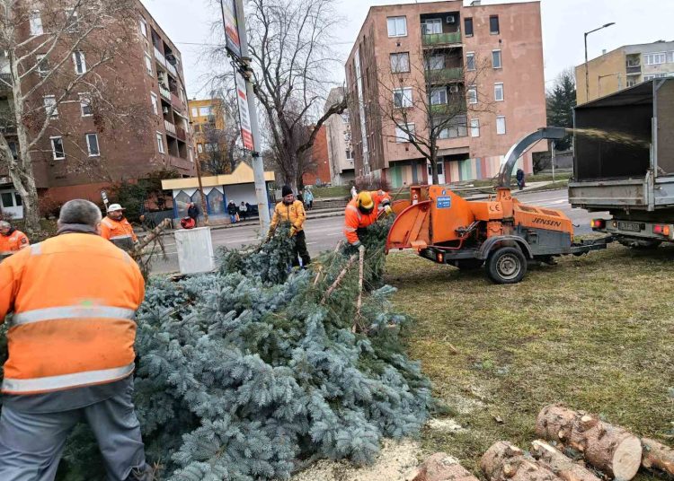 A Váci Városfejlesztő Kft. heti beszámolója