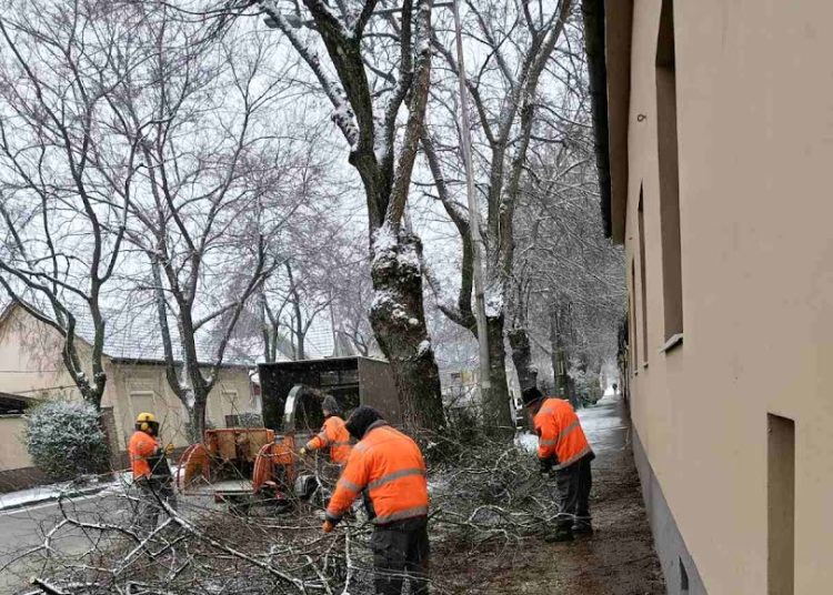 A Váci Városfejlesztő Kft. heti beszámolója