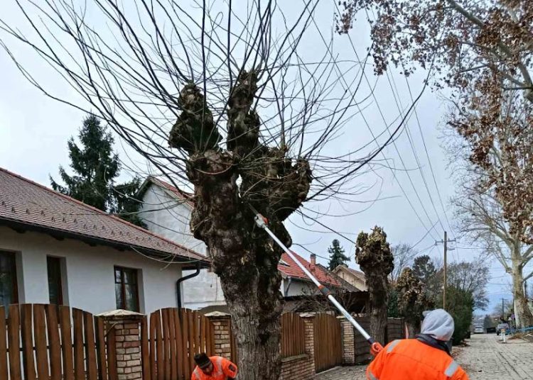 A Váci Városfejlesztő Kft. heti beszámolója