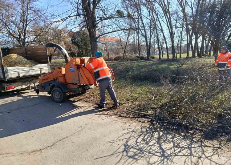 A Váci Városfejlesztő Kft. heti beszámolója