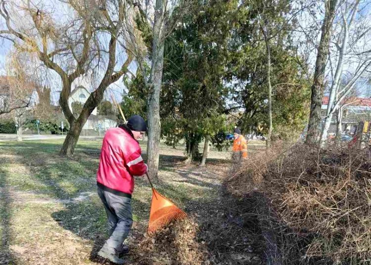 A Váci Városfejlesztő Kft. heti beszámolója