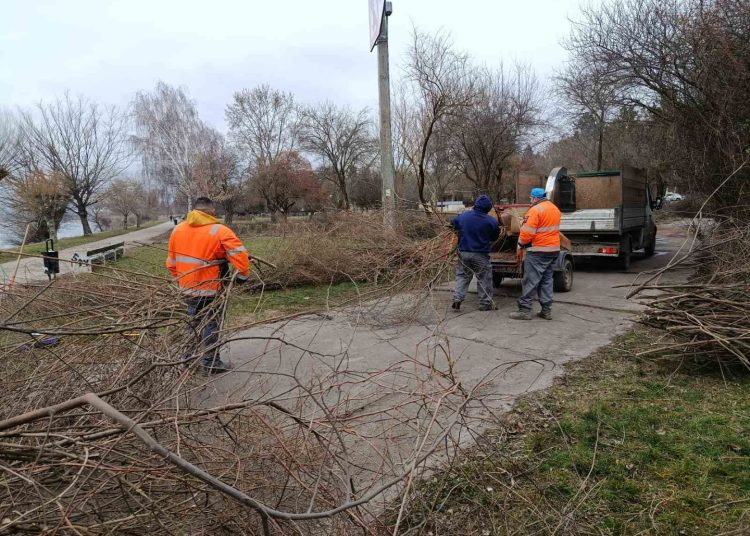 A Váci Városfejlesztő Kft. heti beszámolója