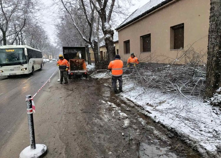 A Váci Városfejlesztő Kft. heti beszámolója