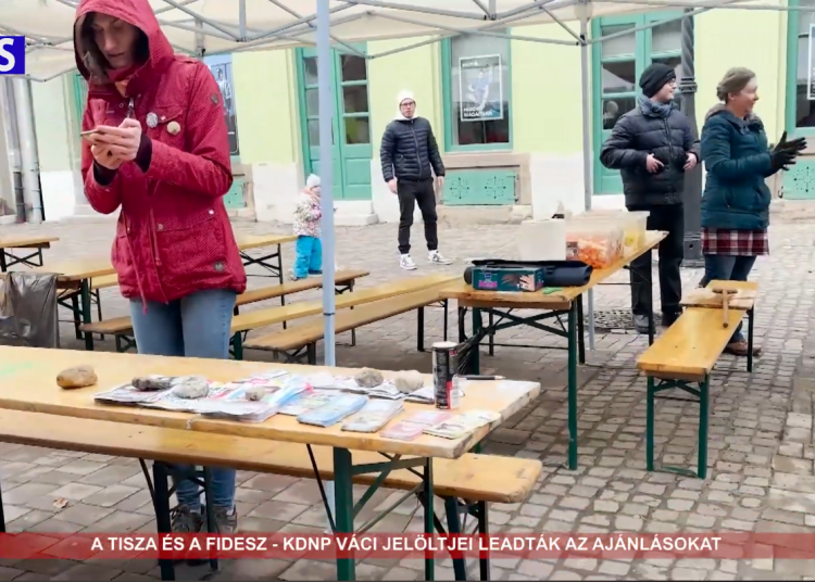 A Váci Városfejlesztő Kft. heti beszámolója