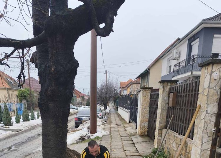 A Váci Városfejlesztő Kft. heti beszámolója