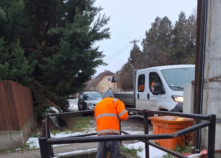 A Váci Városfejlesztő Kft. heti beszámolója