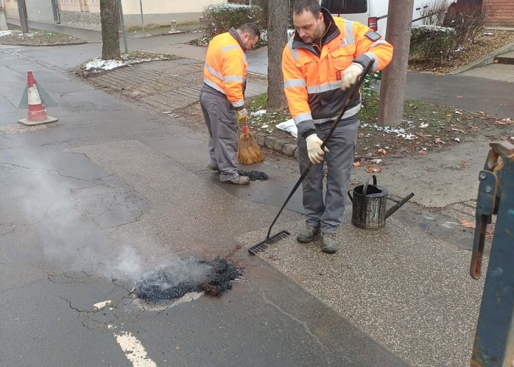 A Váci Városfejlesztő Kft. heti beszámolója