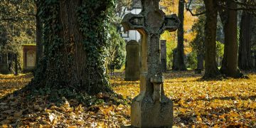 Pályázati felhívás