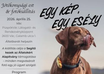 Egy kép, egy esély – jótékonysági est Vácon