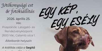 Egy kép, egy esély – jótékonysági est Vácon