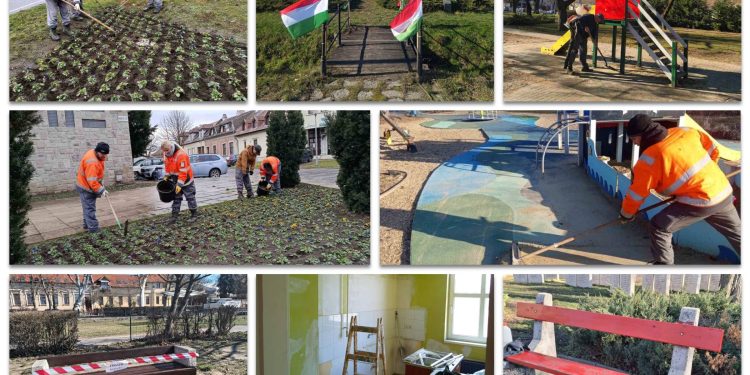 A Váci Városfejlesztő Kft. heti beszámolója