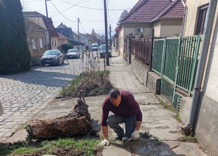 A Váci Városfejlesztő Kft. 12. heti beszámolója