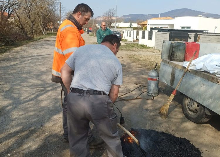 A Váci Városfejlesztő Kft. heti beszámolója