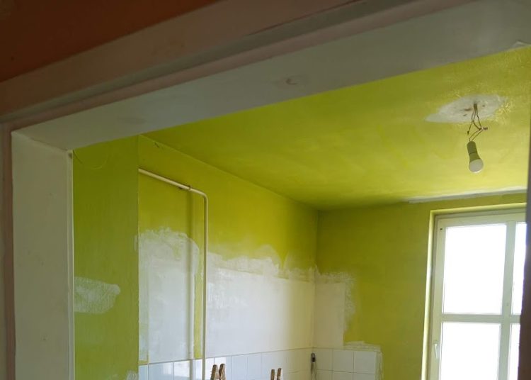 A Váci Városfejlesztő Kft. heti beszámolója