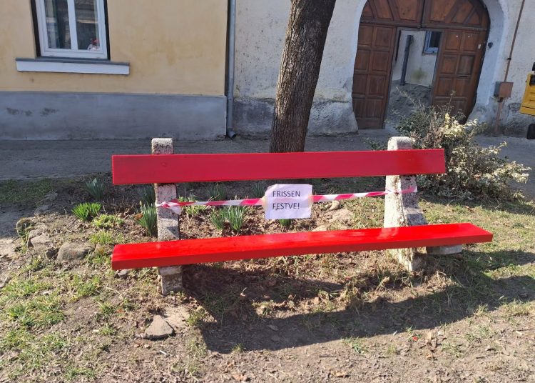 A Váci Városfejlesztő Kft. heti beszámolója