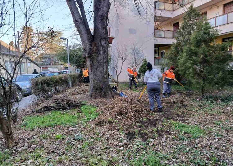 A Váci Városfejlesztő Kft. heti beszámolója
