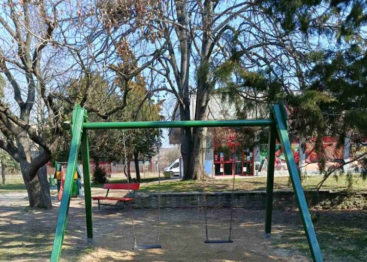 A Váci Városfejlesztő Kft. heti beszámolója