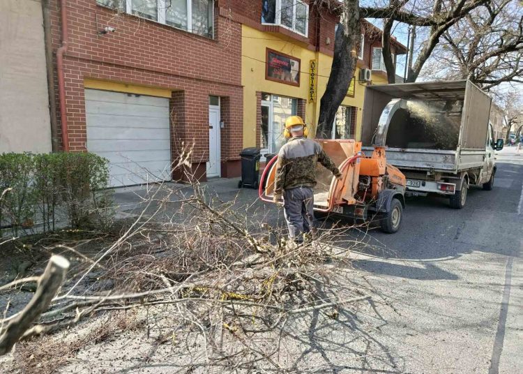 A Váci Városfejlesztő Kft. 13. heti beszámolója