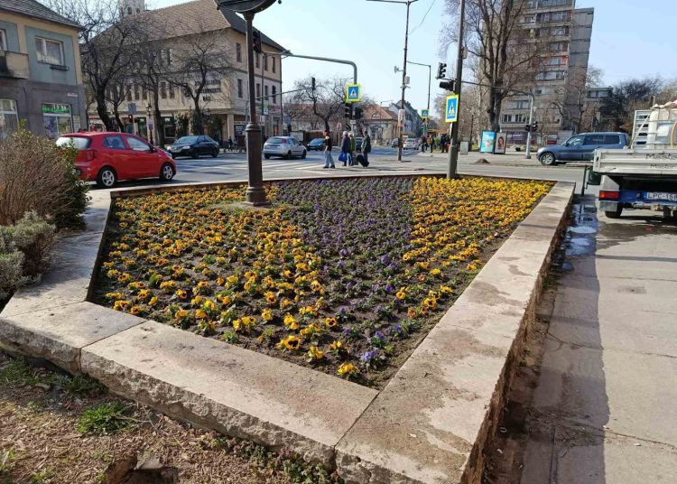 A Váci Városfejlesztő Kft. heti beszámolója