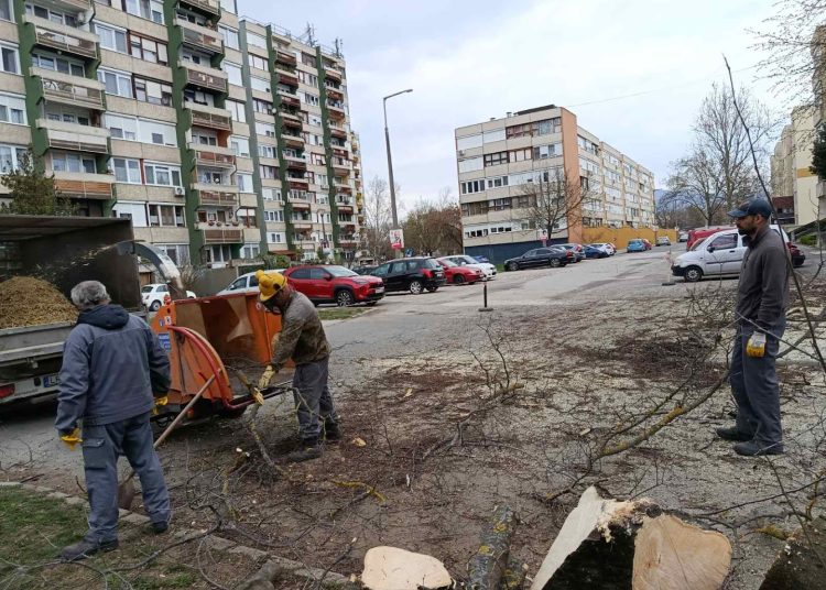 A Váci Városfejlesztő Kft. 13. heti beszámolója