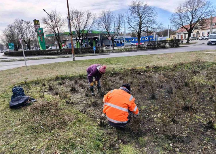 A Váci Városfejlesztő Kft. heti beszámolója