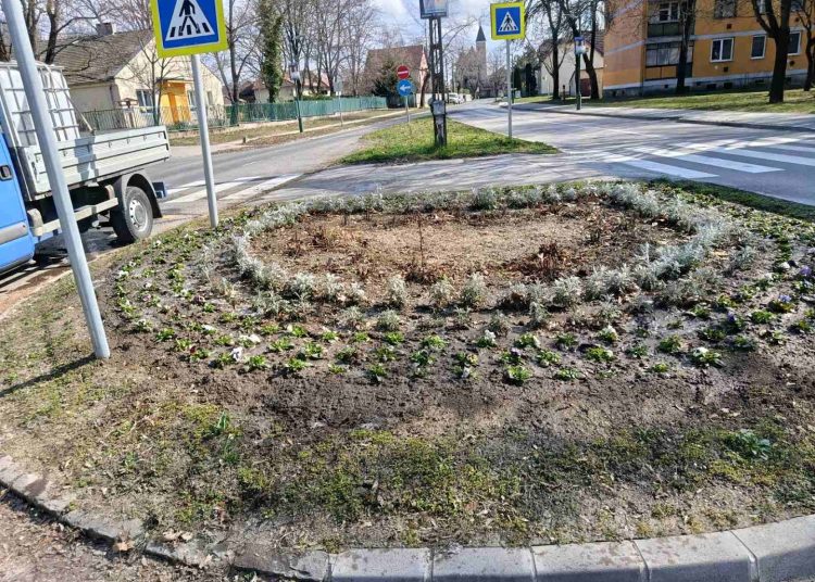 A Váci Városfejlesztő Kft. heti beszámolója