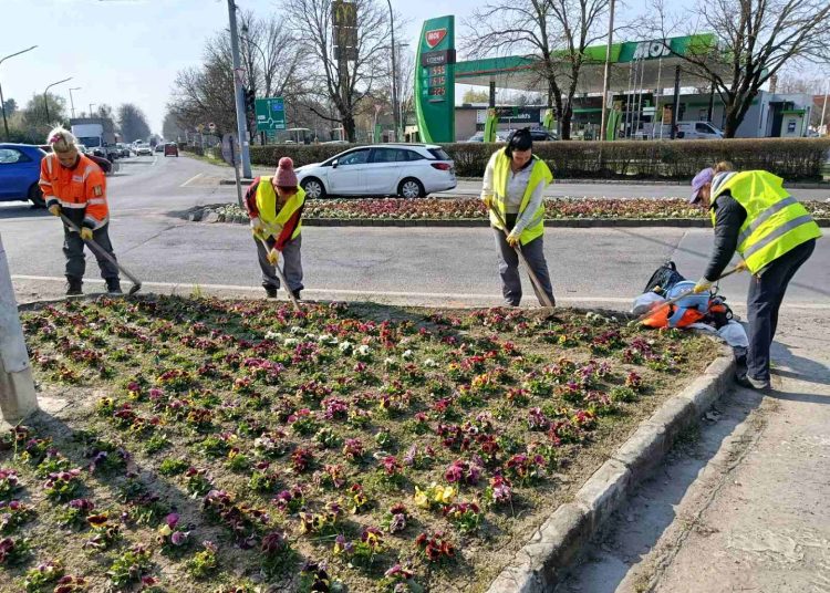 A Váci Városfejlesztő Kft. 12. heti beszámolója