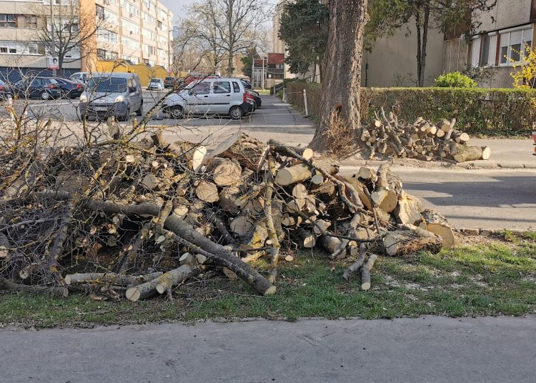 A Váci Városfejlesztő Kft. 13. heti beszámolója